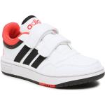 adidas Topánky Hoops Lifestyle H03863 Biela