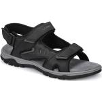 Pánske Športové sandále loap sivej farby v streetwear štýle vo veľkosti 46 priedušné v zľave na leto 
