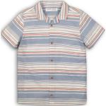 Chlapčenské Detské tričká s krátkym rukávom Pidilidi viacfarebné s pruhovaným vzorom do 24 mesiacov 