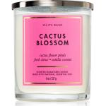 Vonné sviečky Bath & Body Works s motívom: Kaktus 