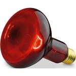 Beurer BEU-INFRA100W žiarovka pre infračervenú lampu