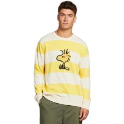 Dedicated Sweater Mora Woodstock Stripe Yellow-L