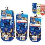 Detské ponožky modrej farby z bavlny s motívom Paw Patrol 3 ks balenie 