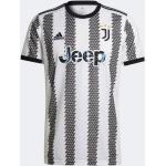 Pánske Futbalové dresy adidas bielej farby v športovom štýle z polyesteru vo veľkosti XXL s okrúhlym výstrihom s motívom Juventus 