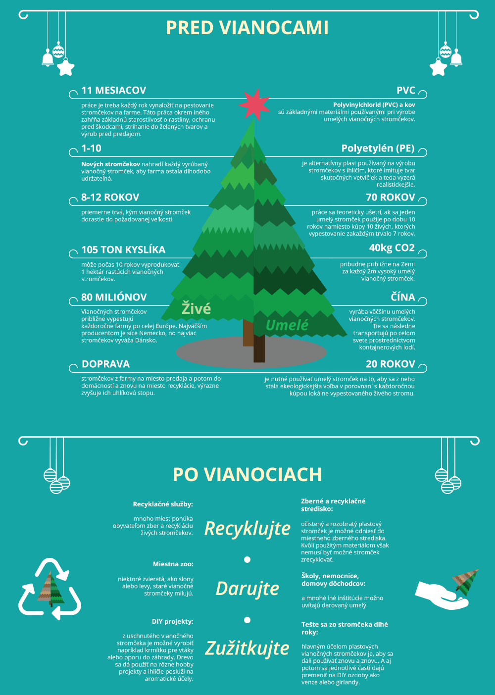 Život vianočných stromčekov - infografika