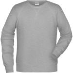 Pánske Mikiny bez kapucne James & Nicholson BIO sivej farby z polyesteru na zimu udržateľná móda 