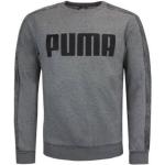 Pánska Jesenná móda Puma sivej farby v športovom štýle z bavlny vo veľkosti XS na zimu 