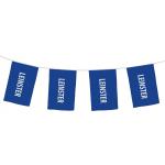 Official Bunting Leinster One Size