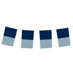 Official Bunting Navy/Sky One Size