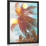Plagáty bielej farby s tropickým vzorom 20x30 s motívom: Palmy 