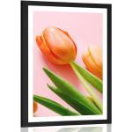 Plagáty bielej farby v elegantnom štýle s kvetinovým vzorom zo striebra 20x30 s motívom: Tulipán 