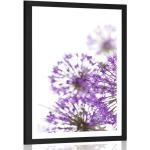 Plagáty fialovej farby s kvetinovým vzorom zo striebra 20x30 