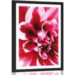 Plagáty ružovej farby s kvetinovým vzorom zo striebra 20x30 