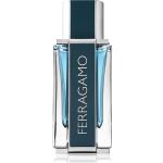 Salvatore Ferragamo Ferragamo Intense Leather parfumovaná voda pre mužov 50 ml