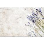 Obrazy béžovej farby zo skla 70x100 s motívom Lavender v zľave 
