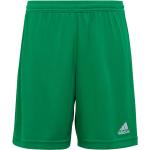 Detské futbalové kraťasy adidas Entrada zelenej farby z polyesteru udržateľná móda 