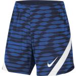 Pánske Šortky Nike Dri-Fit modrej farby v zľave 