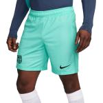 Nová kolekcia: Šortky Nike zelenej farby s motívom FC Barcelona v zľave 