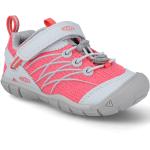Športové sandále Keen - Chandler CNX C drizzle/dubarry