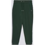 Pánske Športové oblečenie Gant zelenej farby z bavlny vo veľkosti XXXL 